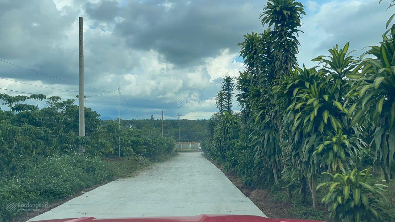 20251030144525-5c02_wm (1)