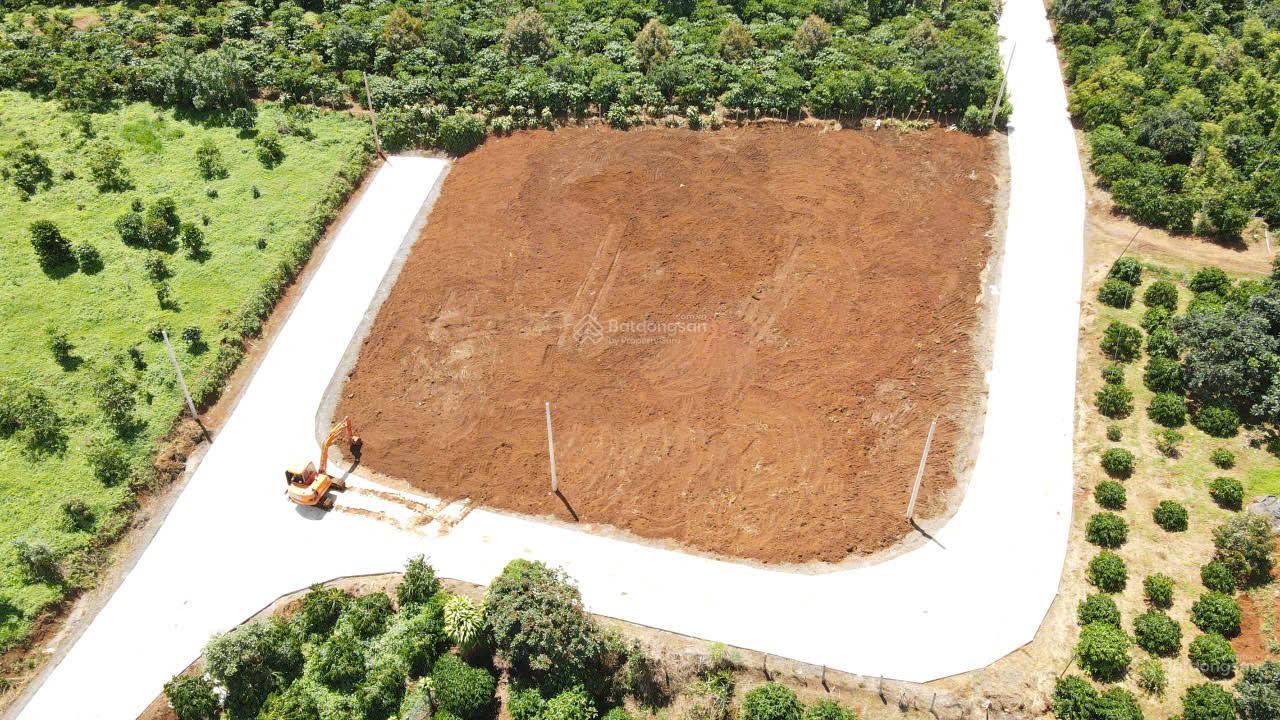 20251030144525-bad9_wm