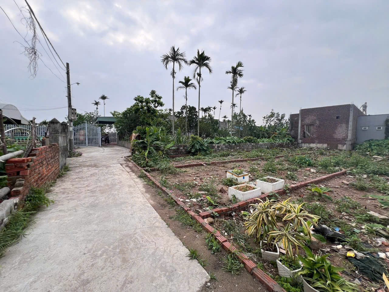 2168119646138840781150