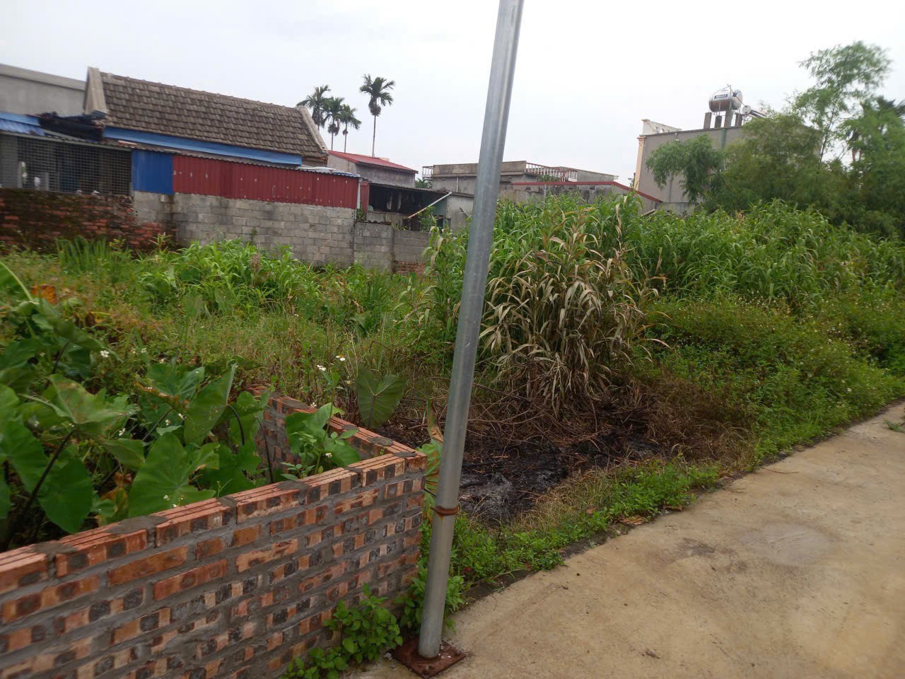 221609675000357672858