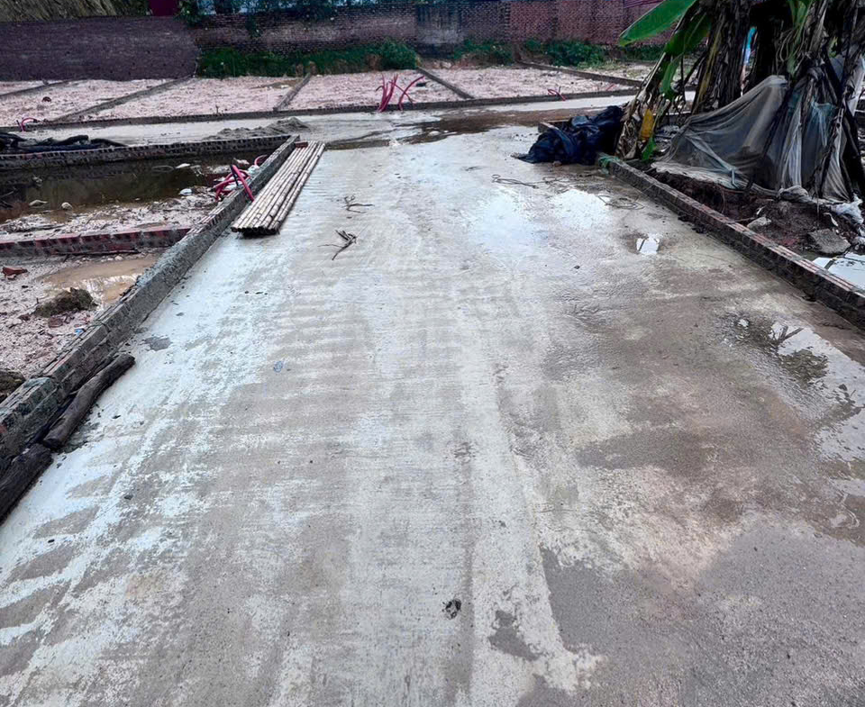 2230159108214875023_(6)