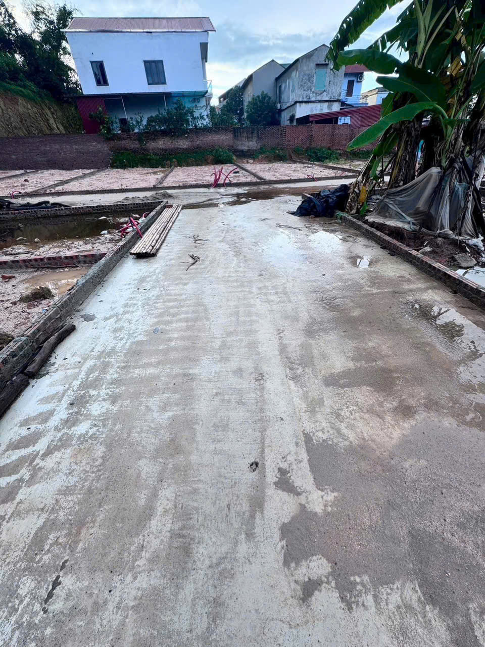 2230159108214875023_(6)