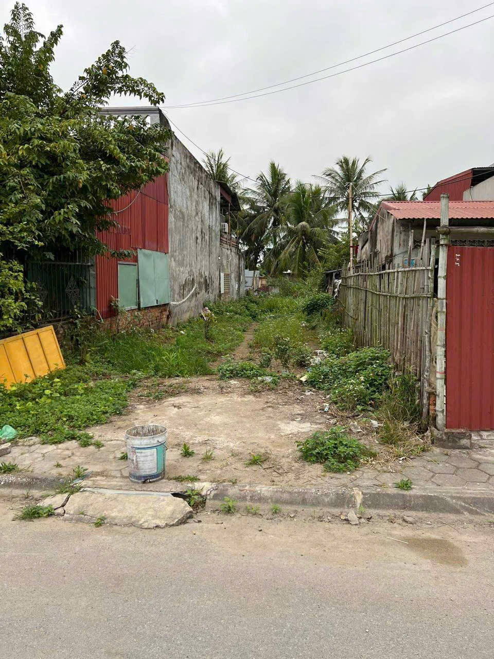 22c981aa9c13114d4802123