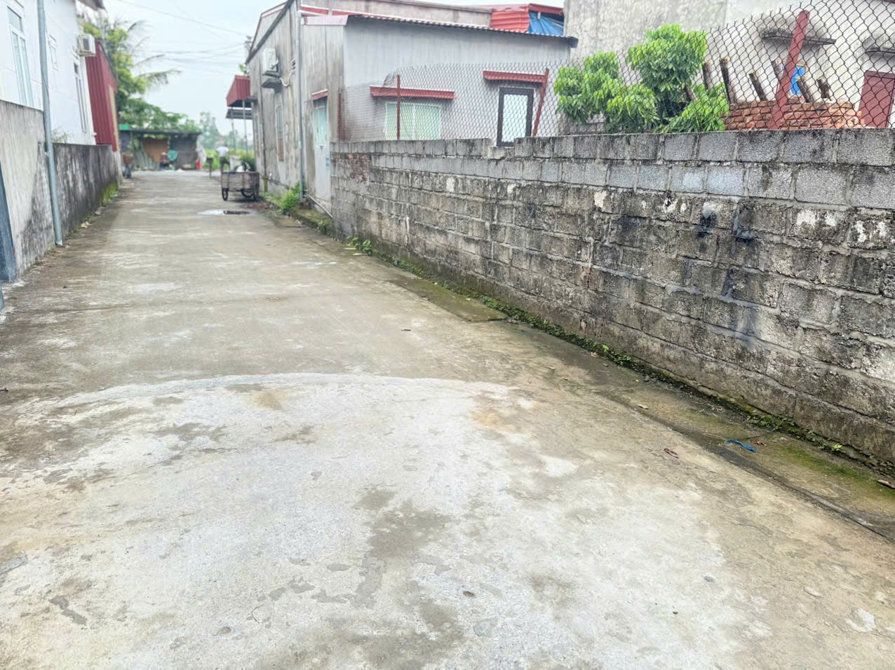 249657757296434912012