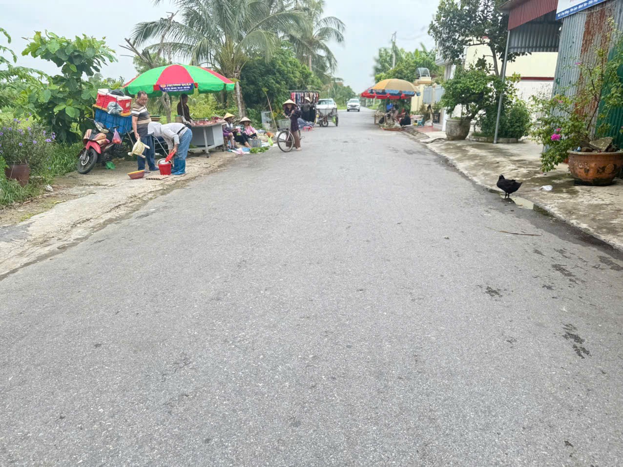 249657757296434912015