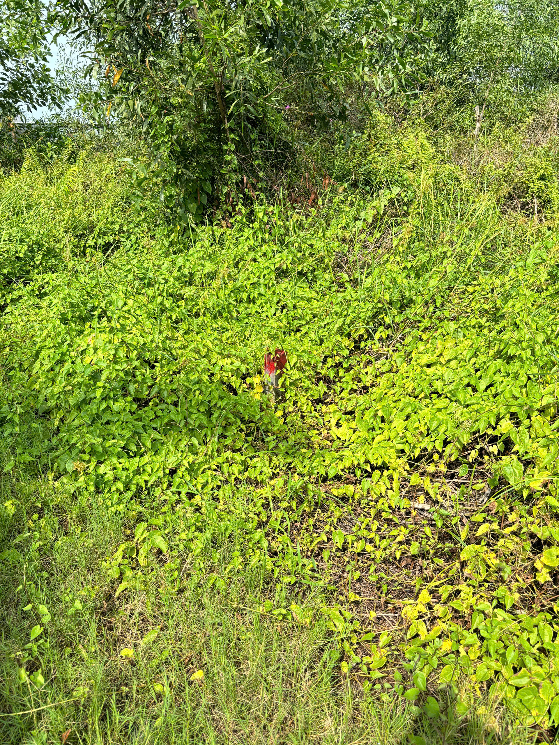 2f343223c99d43c31a8c