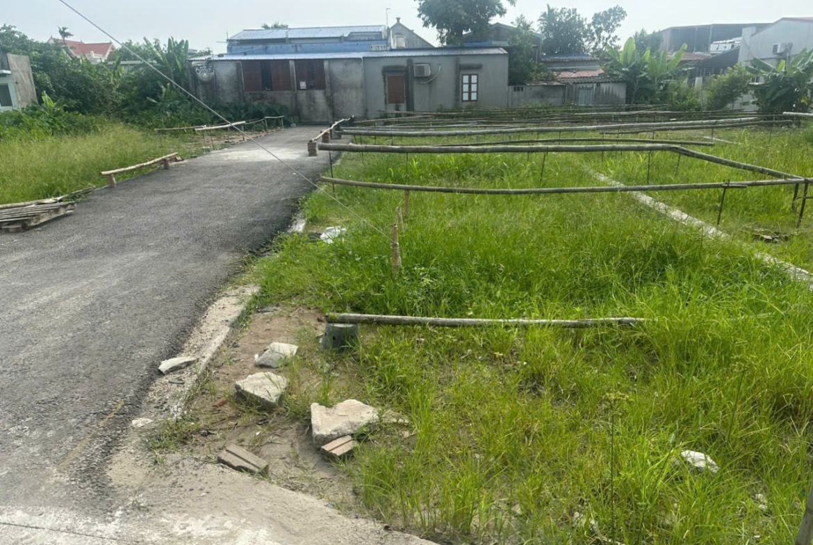 343202727401543835295