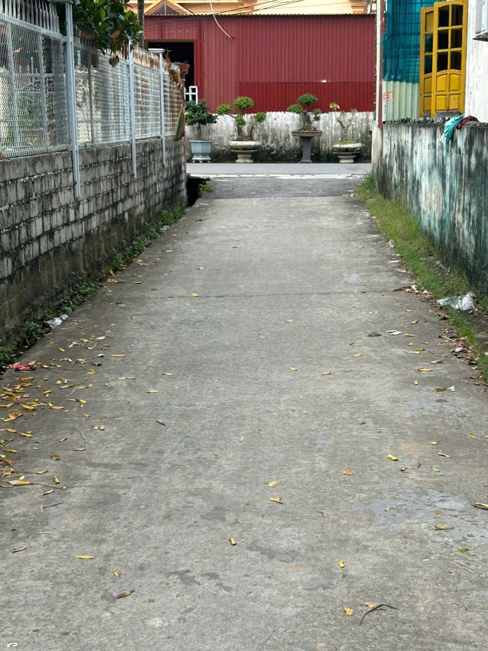 35551818363509273874