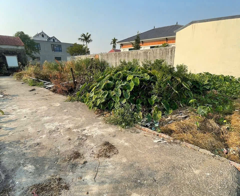 3993775261055127713101