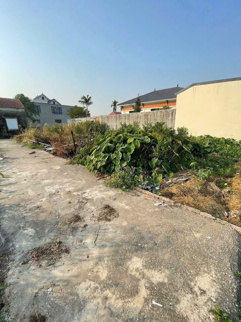 3993775261055127713101