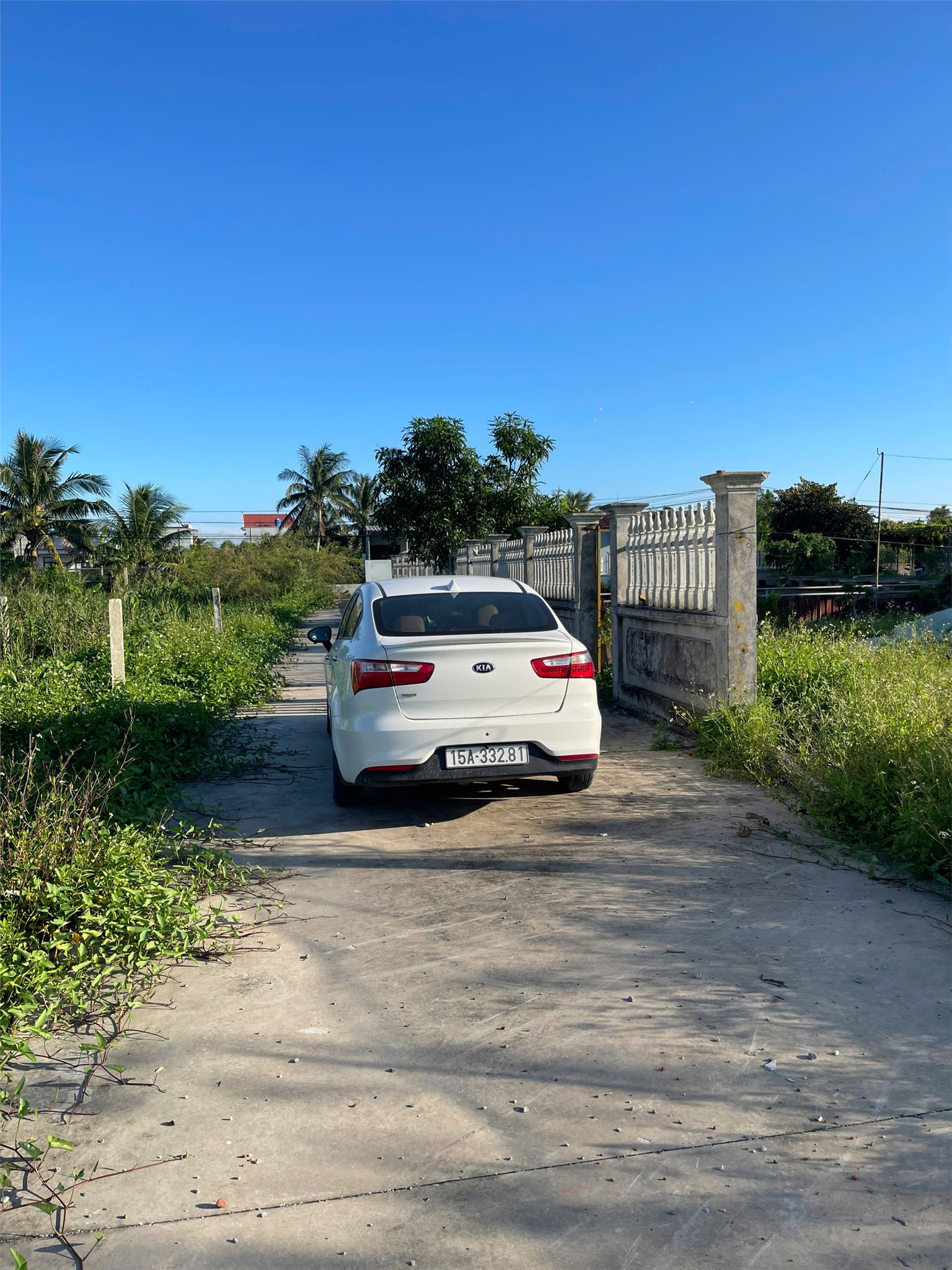 42938967783157774545