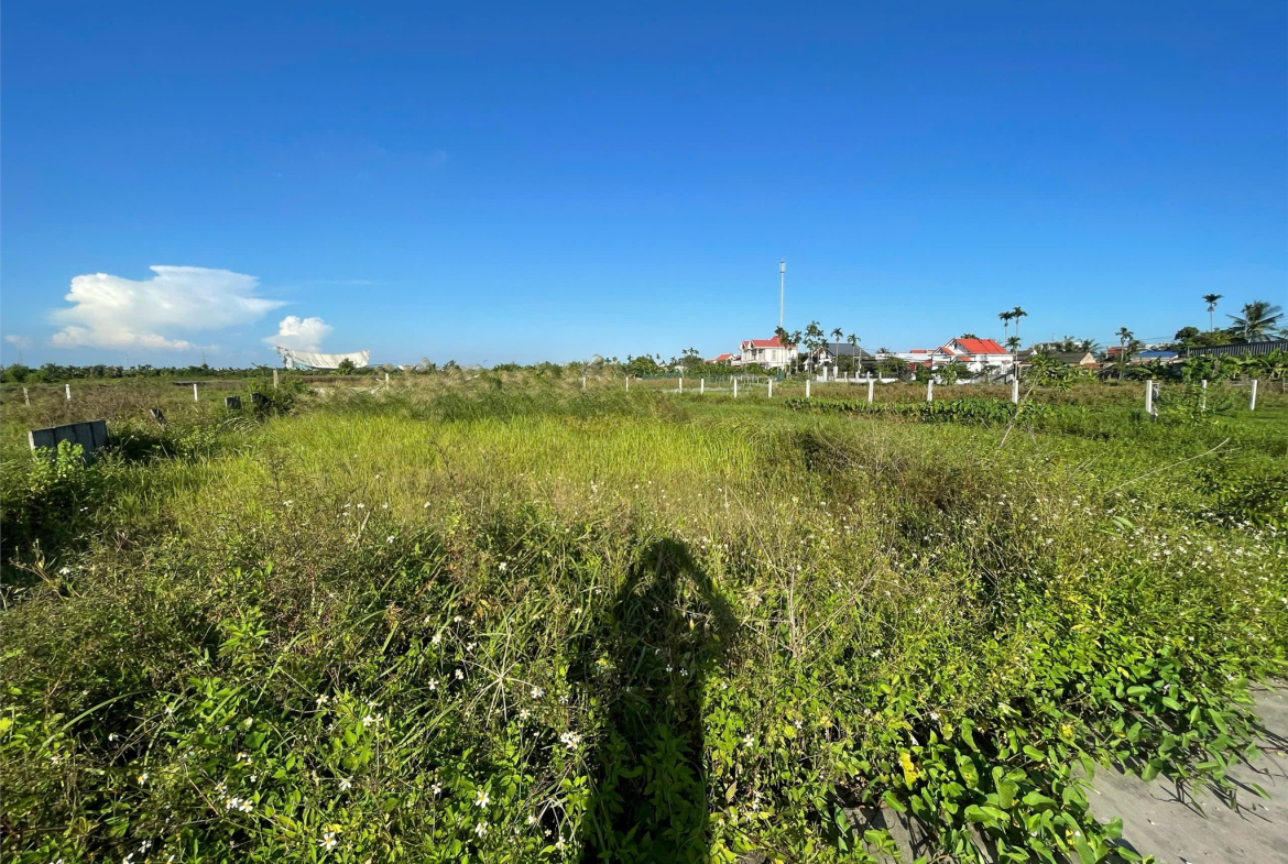 42938967783157774547