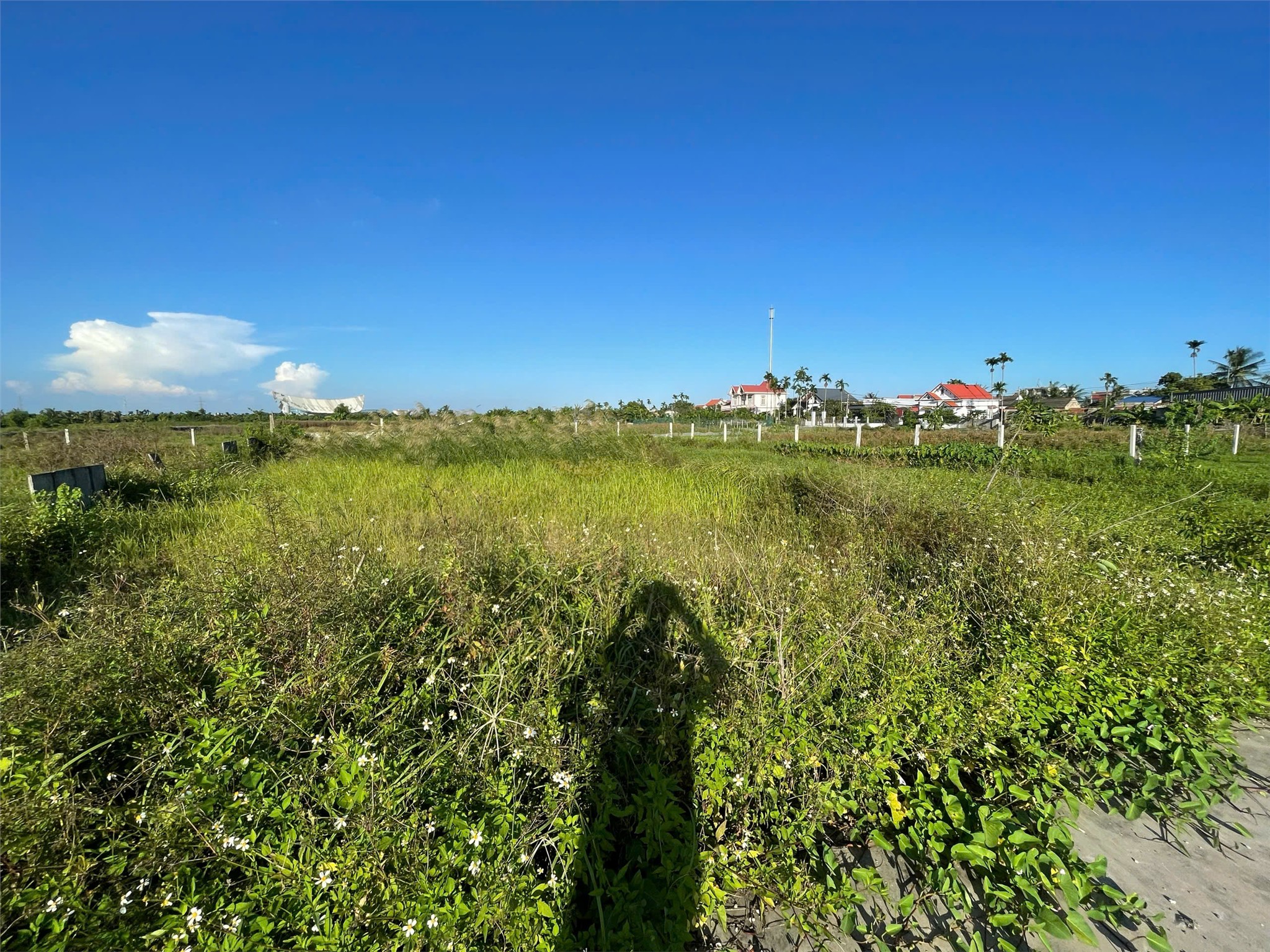 42938967783157774547