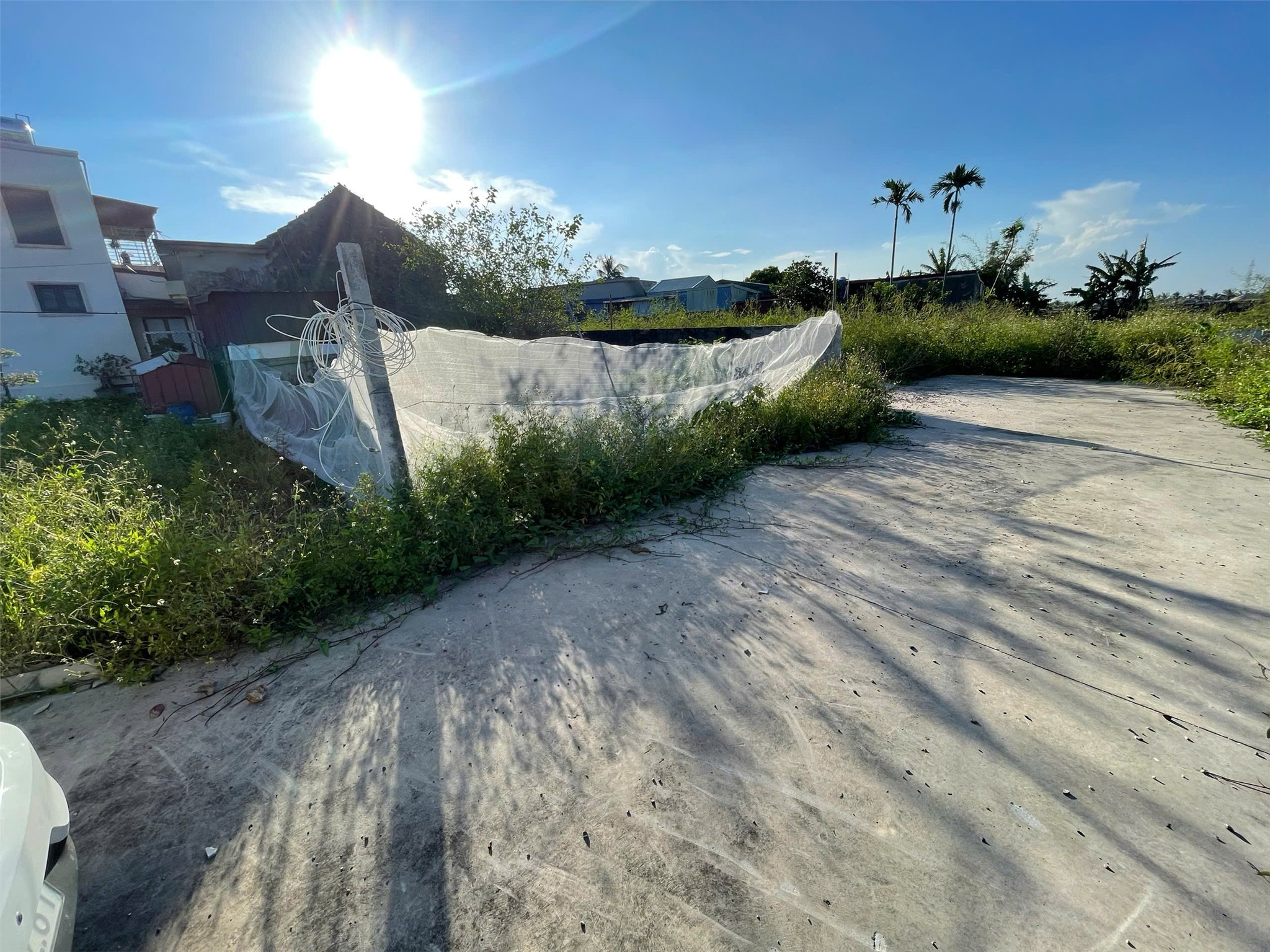 42938967783157774548