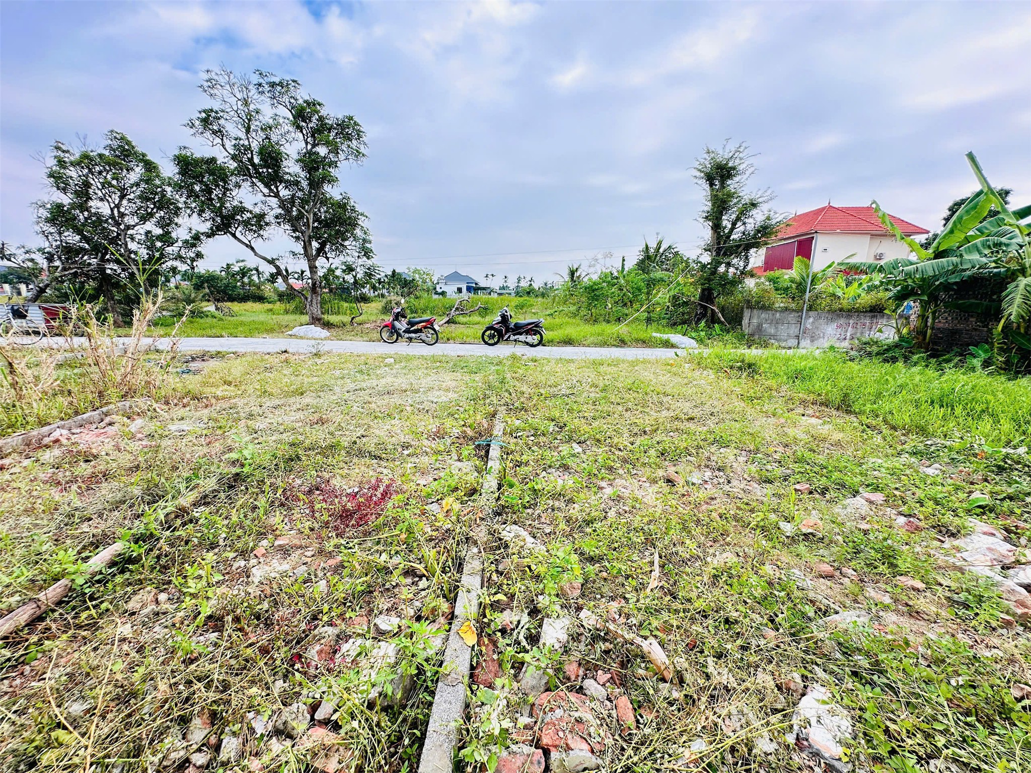 4bd2027fbcc6319868d7133