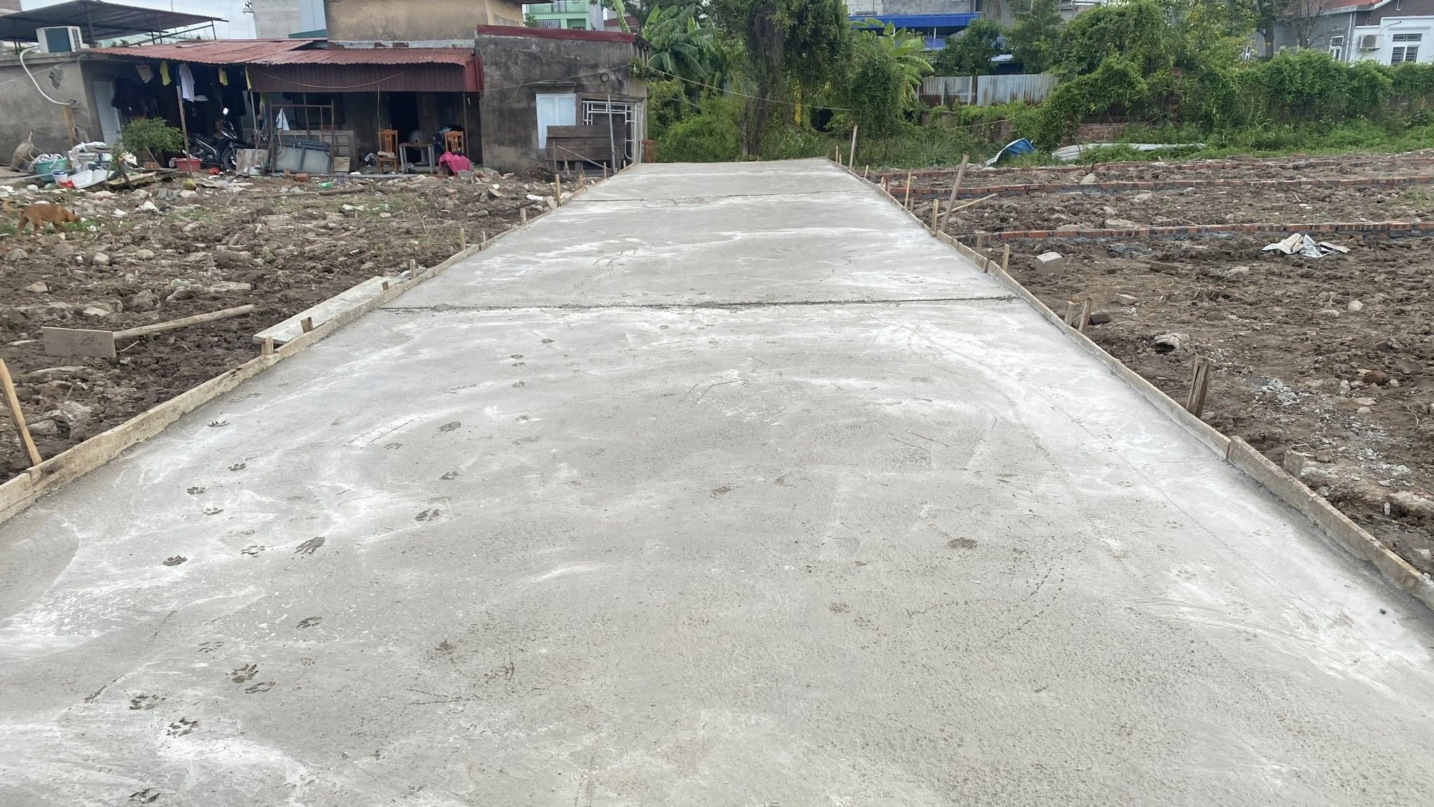 539919936_3372018162945609_992754121944079451_n