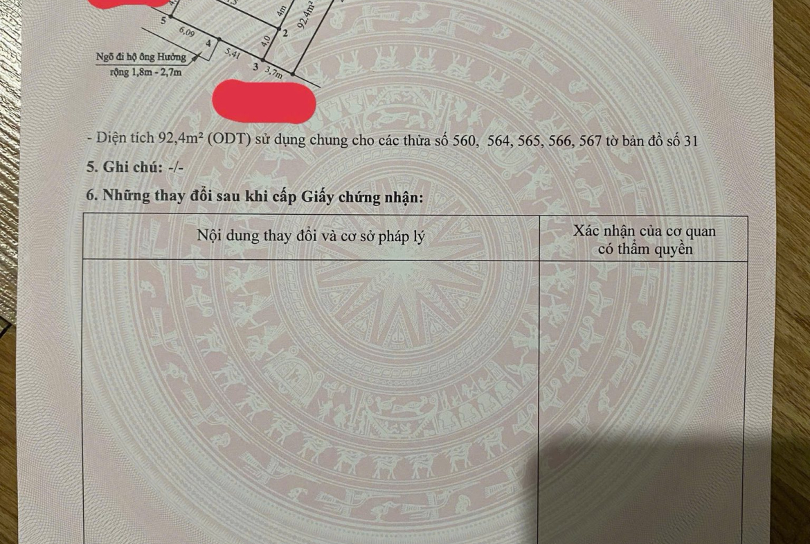 540410227_3372018152945610_3003097074330875122_n