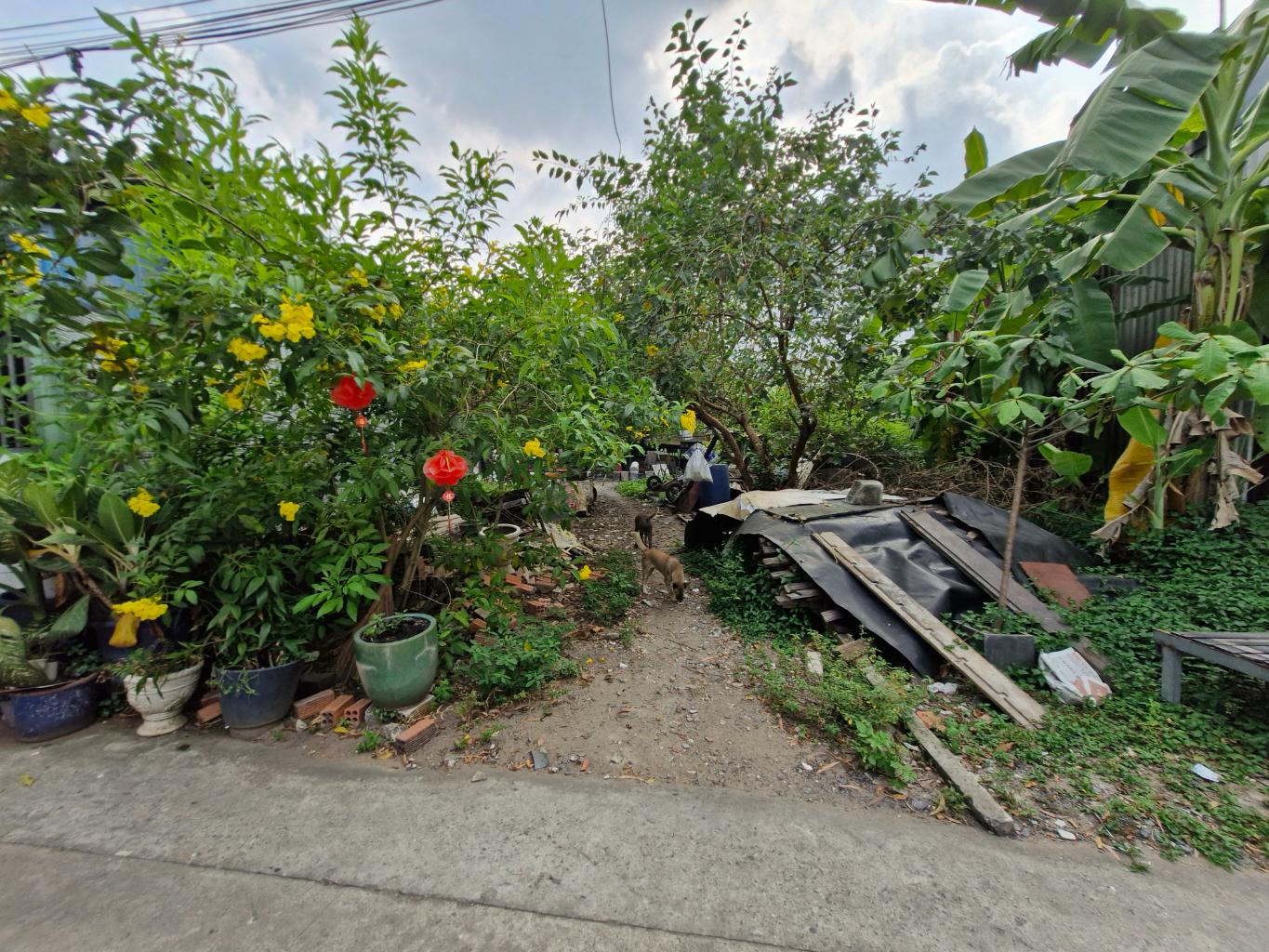 547551021_122211850712095106_6683004042104288042_n