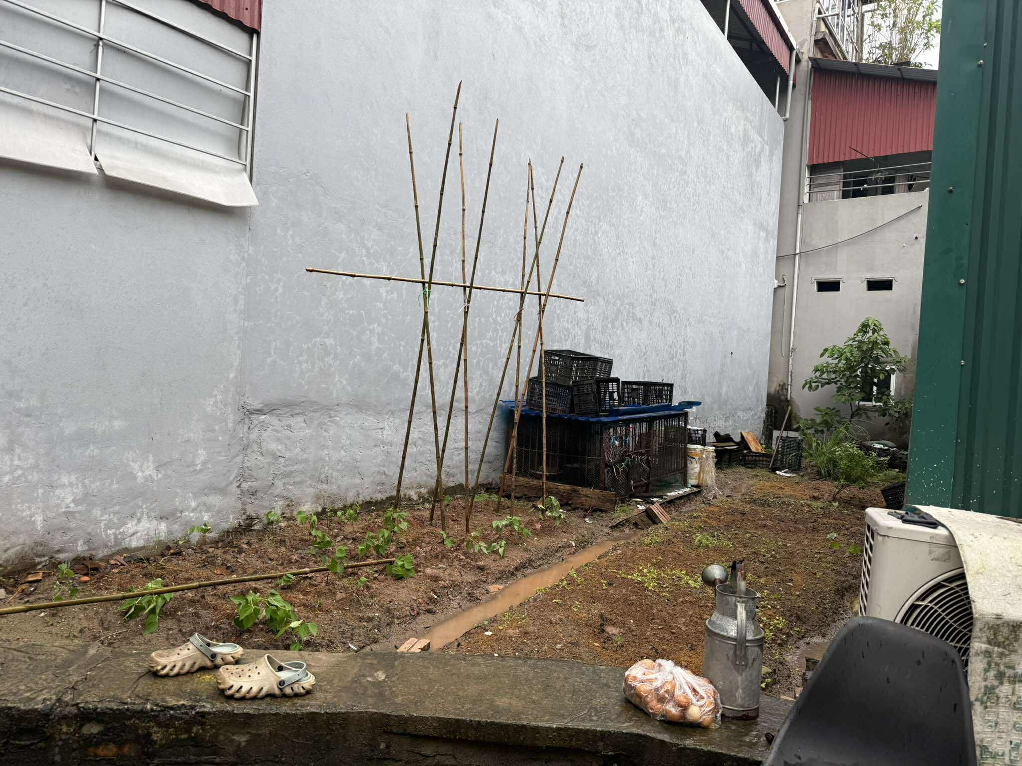 553149242_24535930506016494_3269003518098707783_n