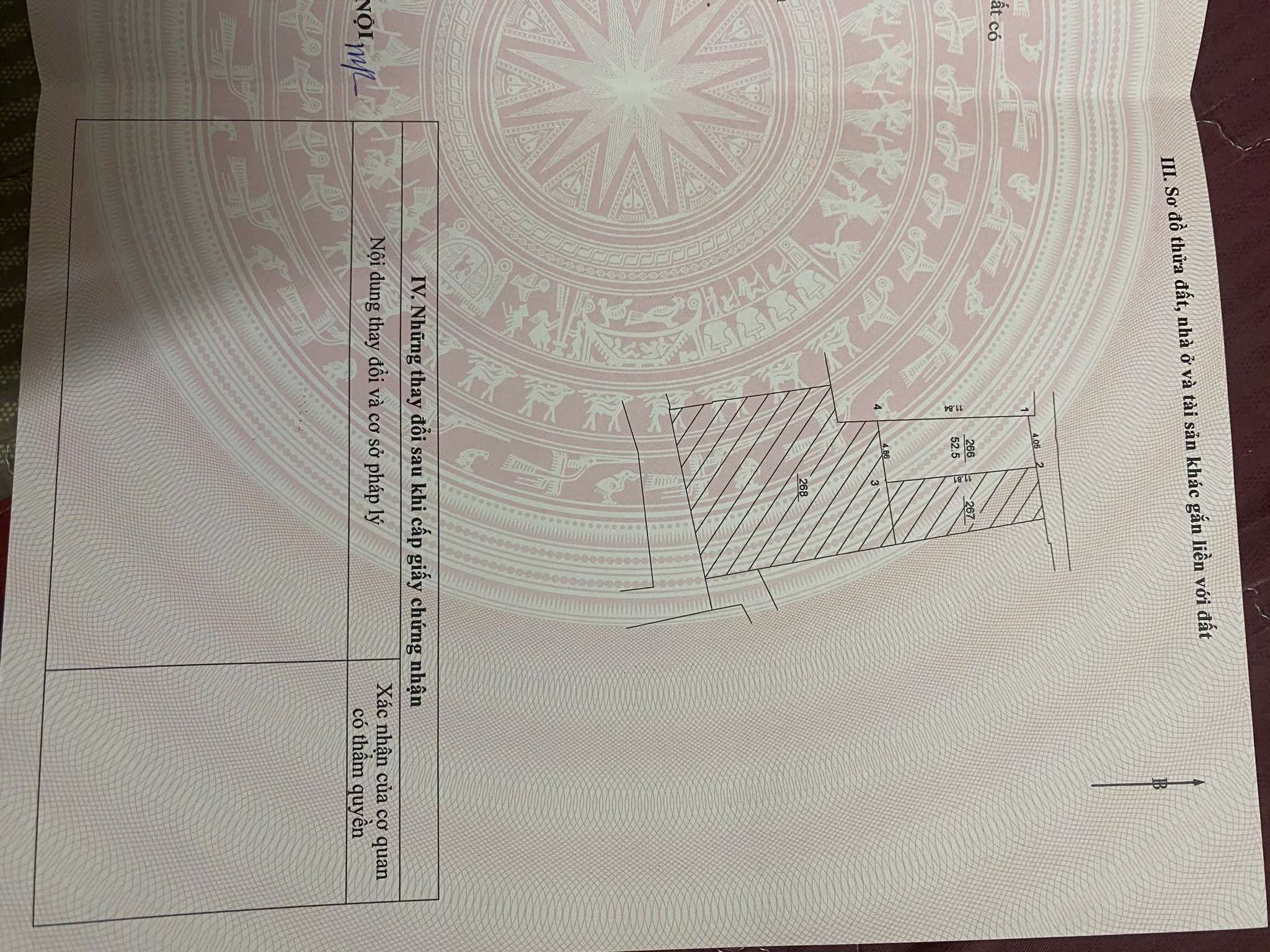 557533431_1254186820081143_8660235475952453393_n
