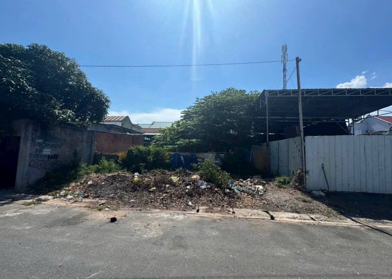 558284107_4291997037752429_2447441237003780815_n