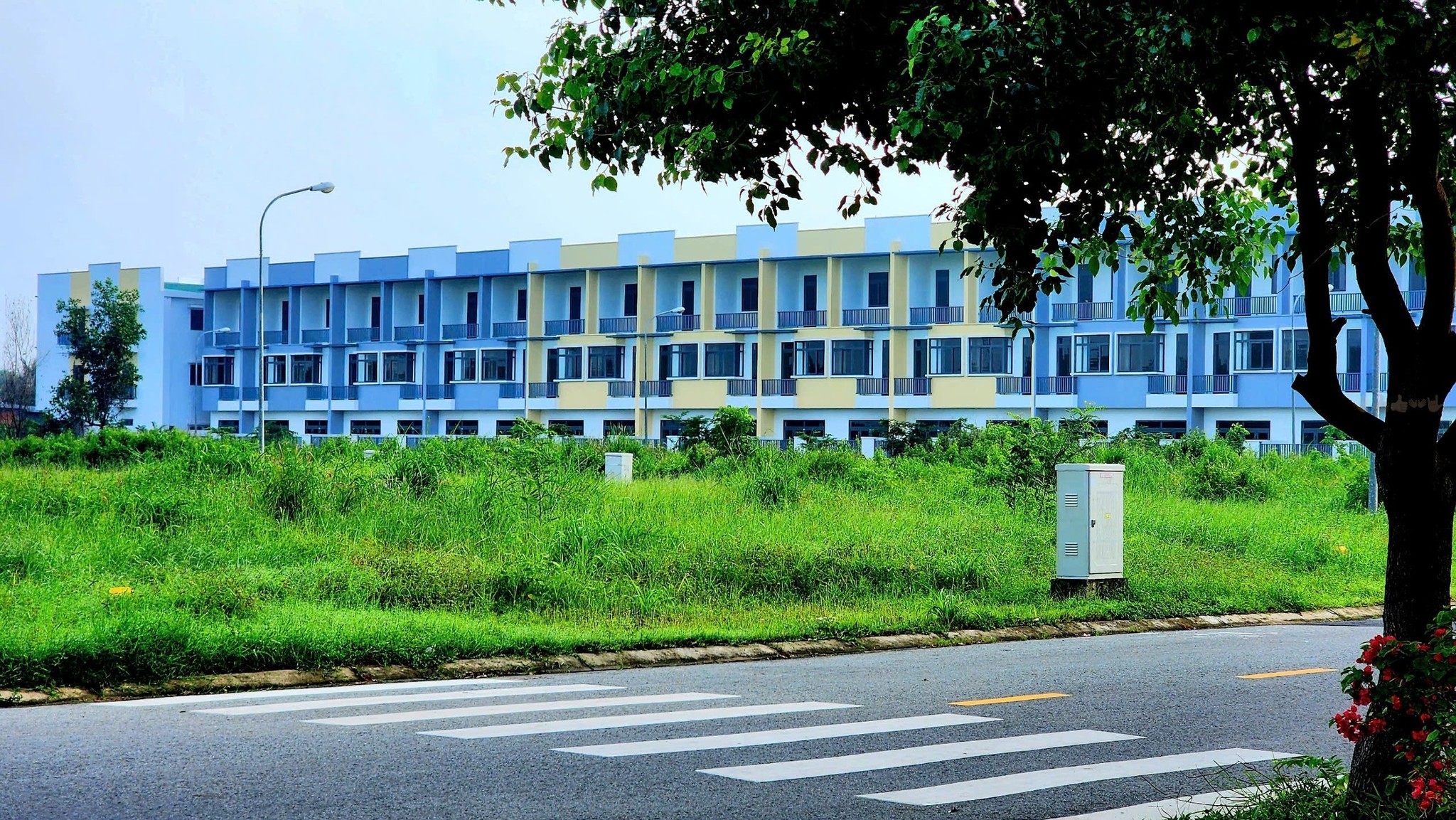 558859169_24919723457648408_4234553304178323635_n