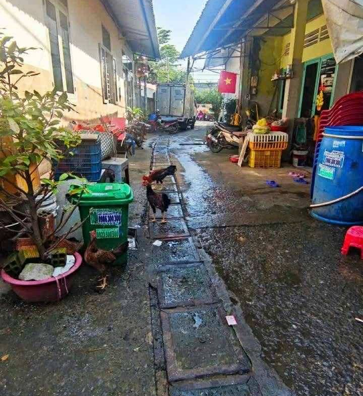 571451137_122165516402797857_3993166149227977081_n