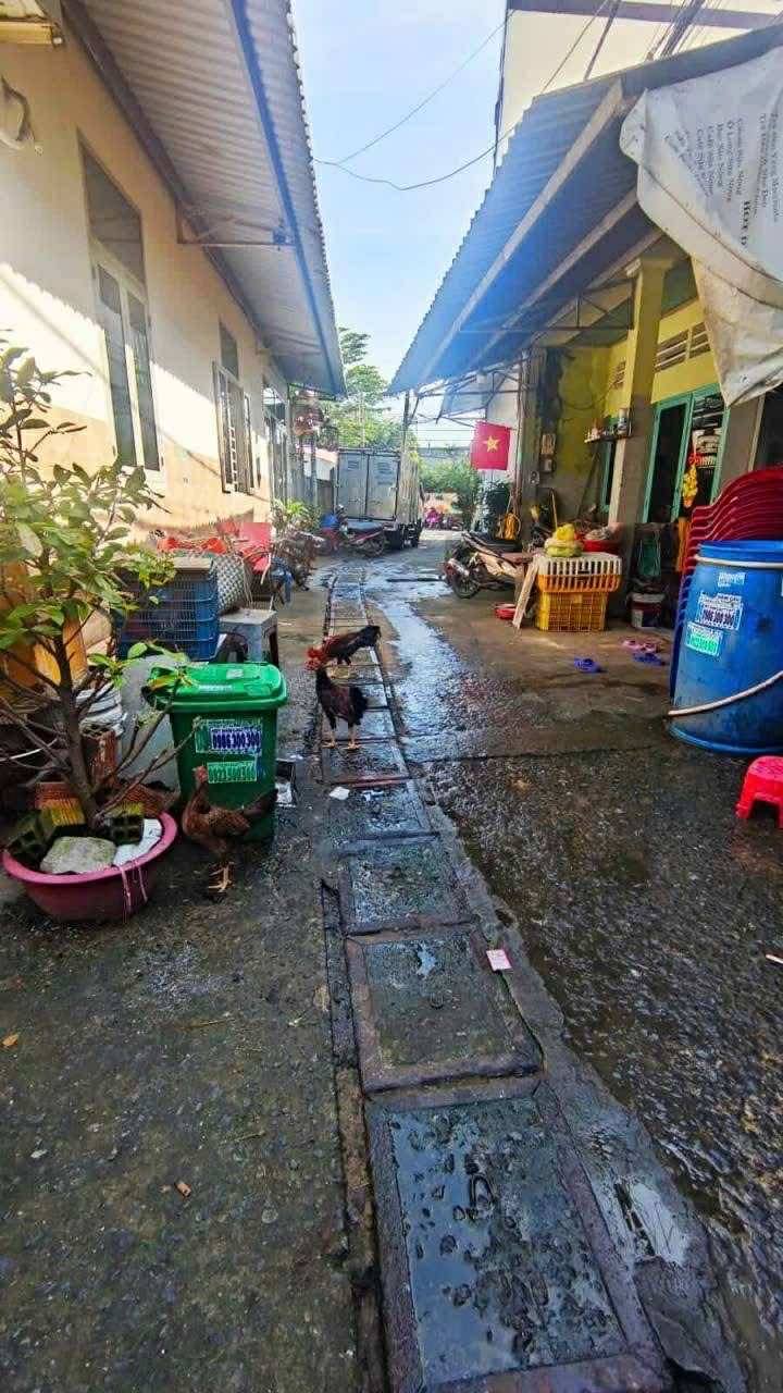 571451137_122165516402797857_3993166149227977081_n