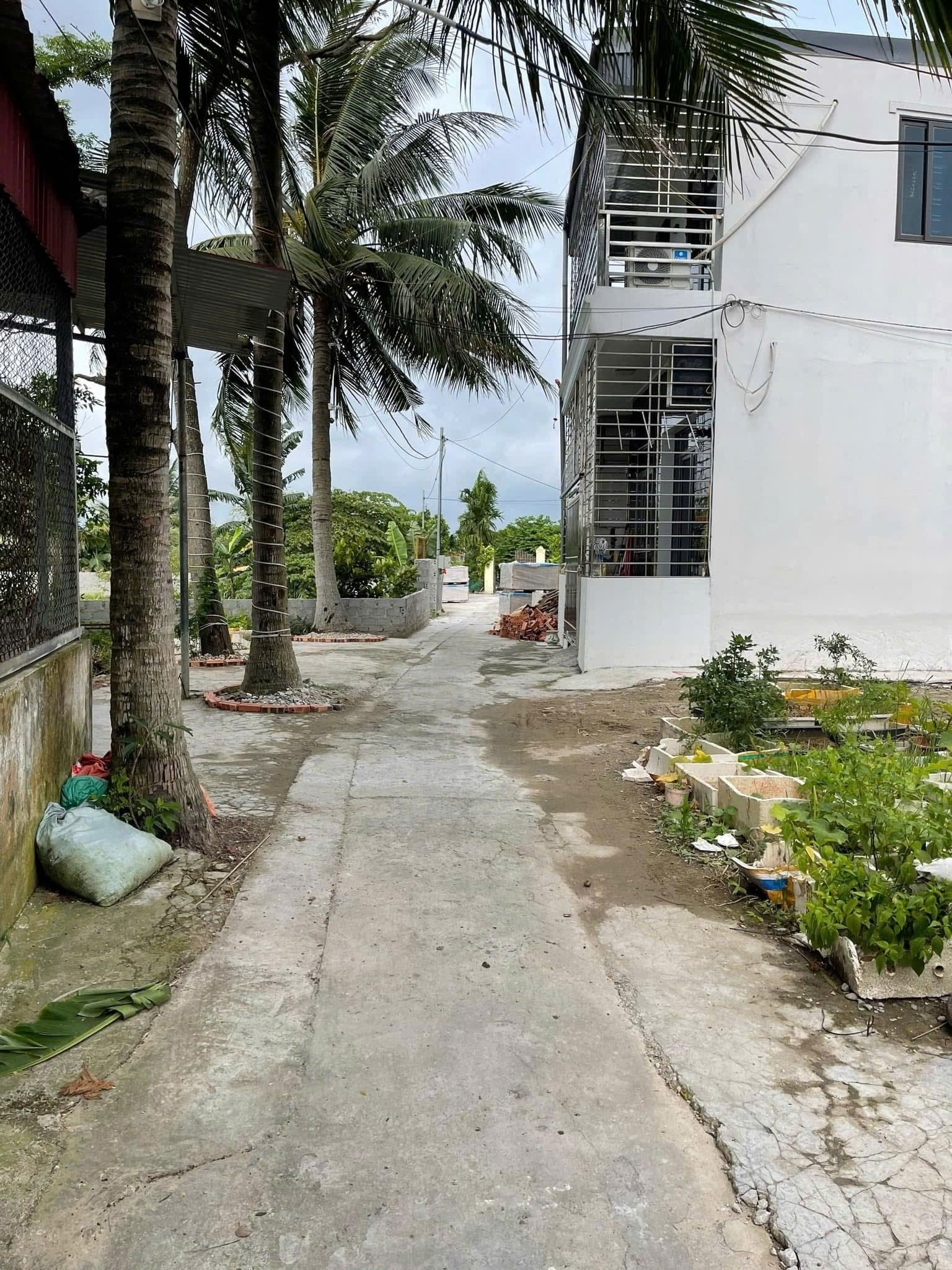 593e2ad0350fb851e11e100