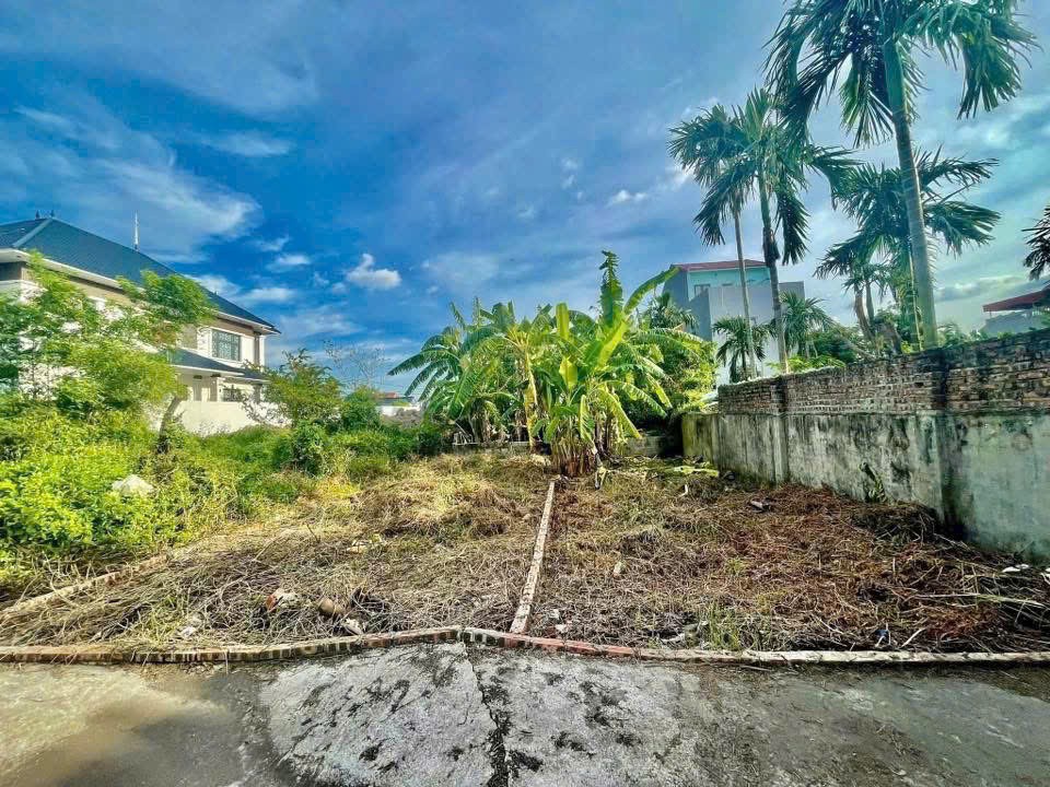 5ac425dc1b65963bcf74141