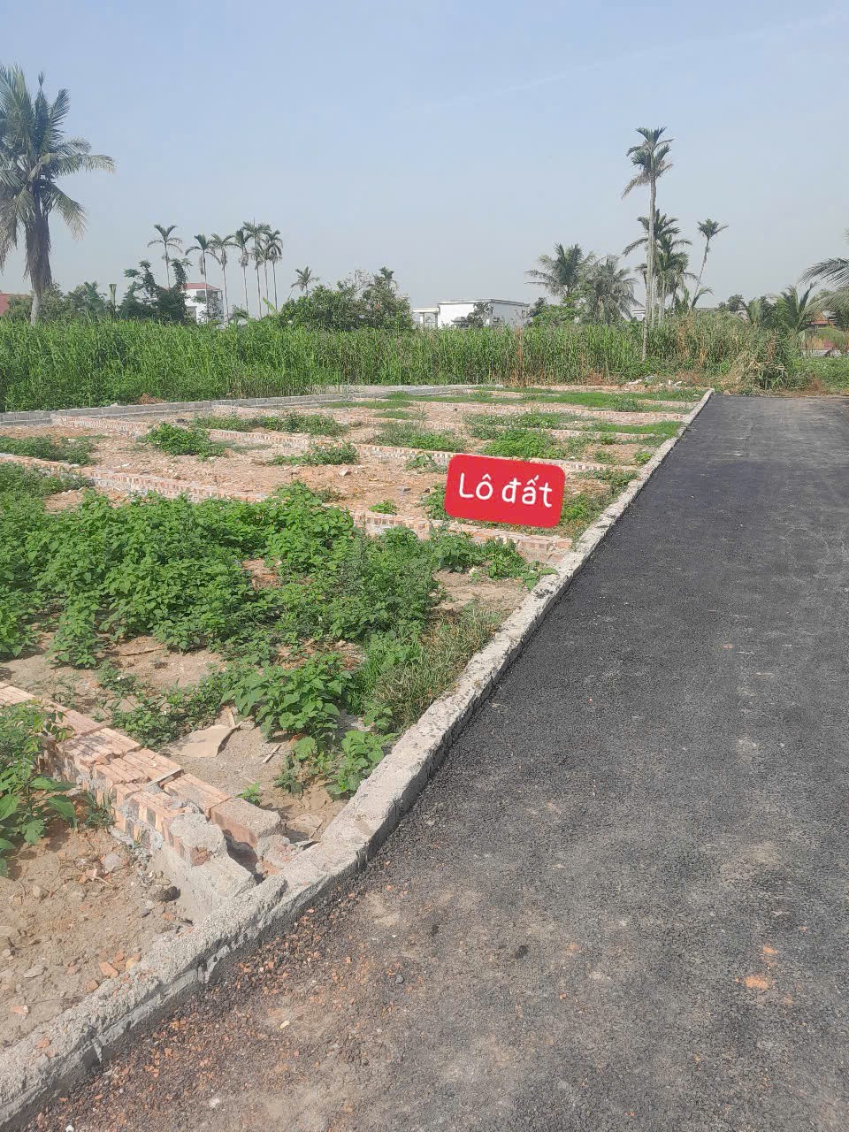 5b46376933eab9b4e0fb11