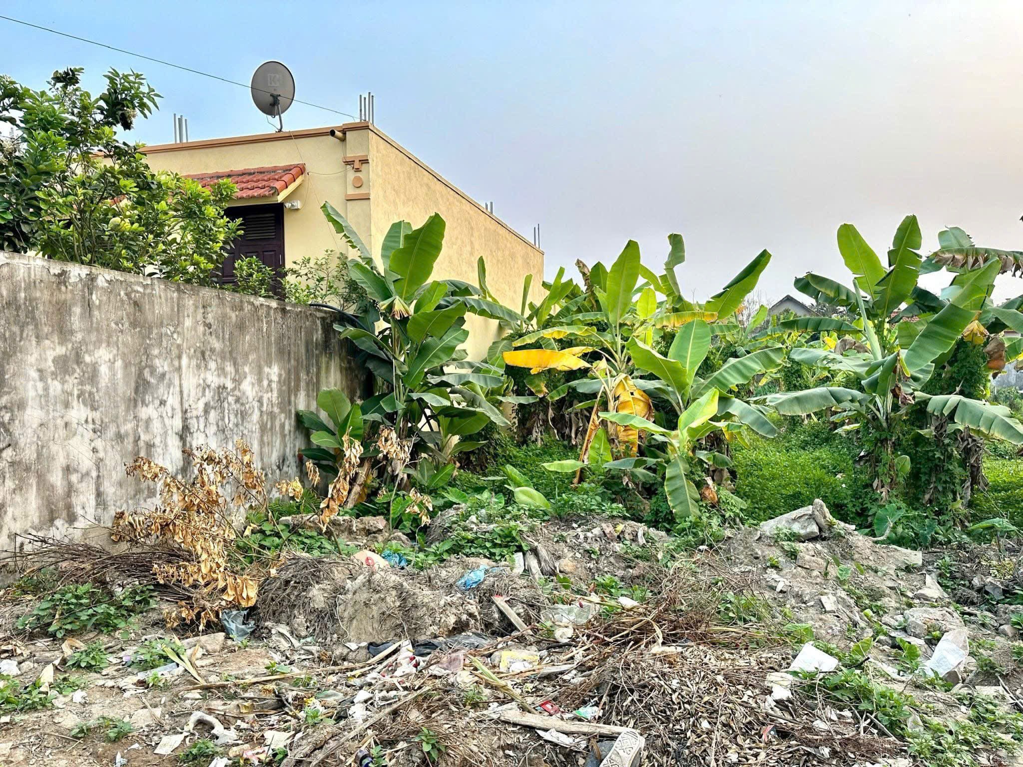 6a40ad3990371d694426