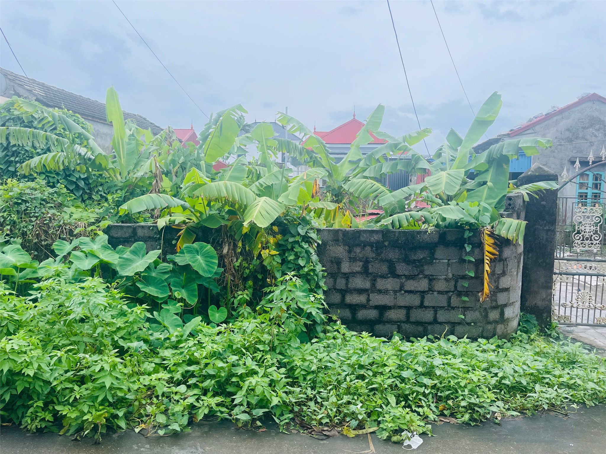 6d7bb3d63e5ab304ea4b12