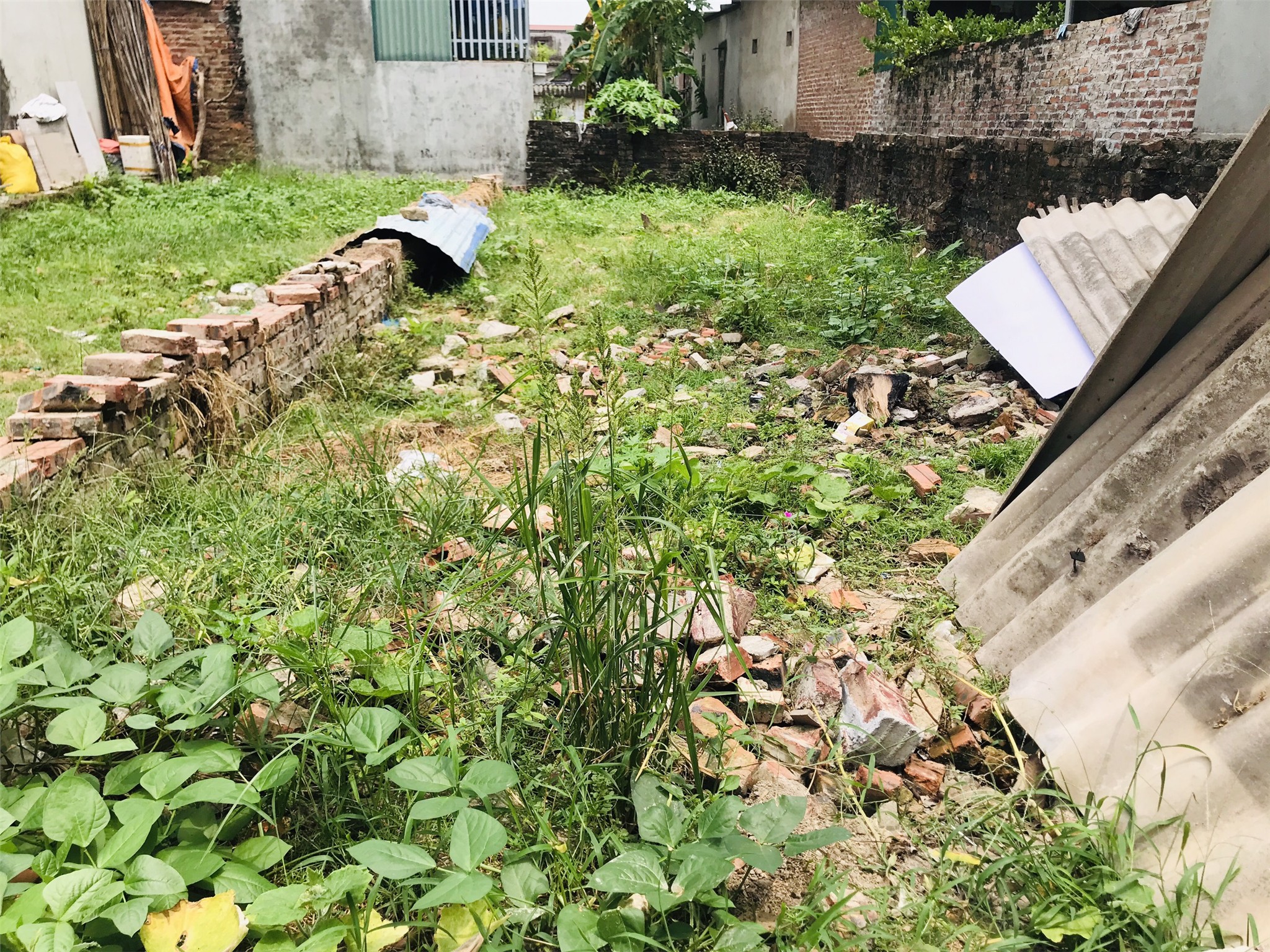 6f1c2136786bbc35e57a