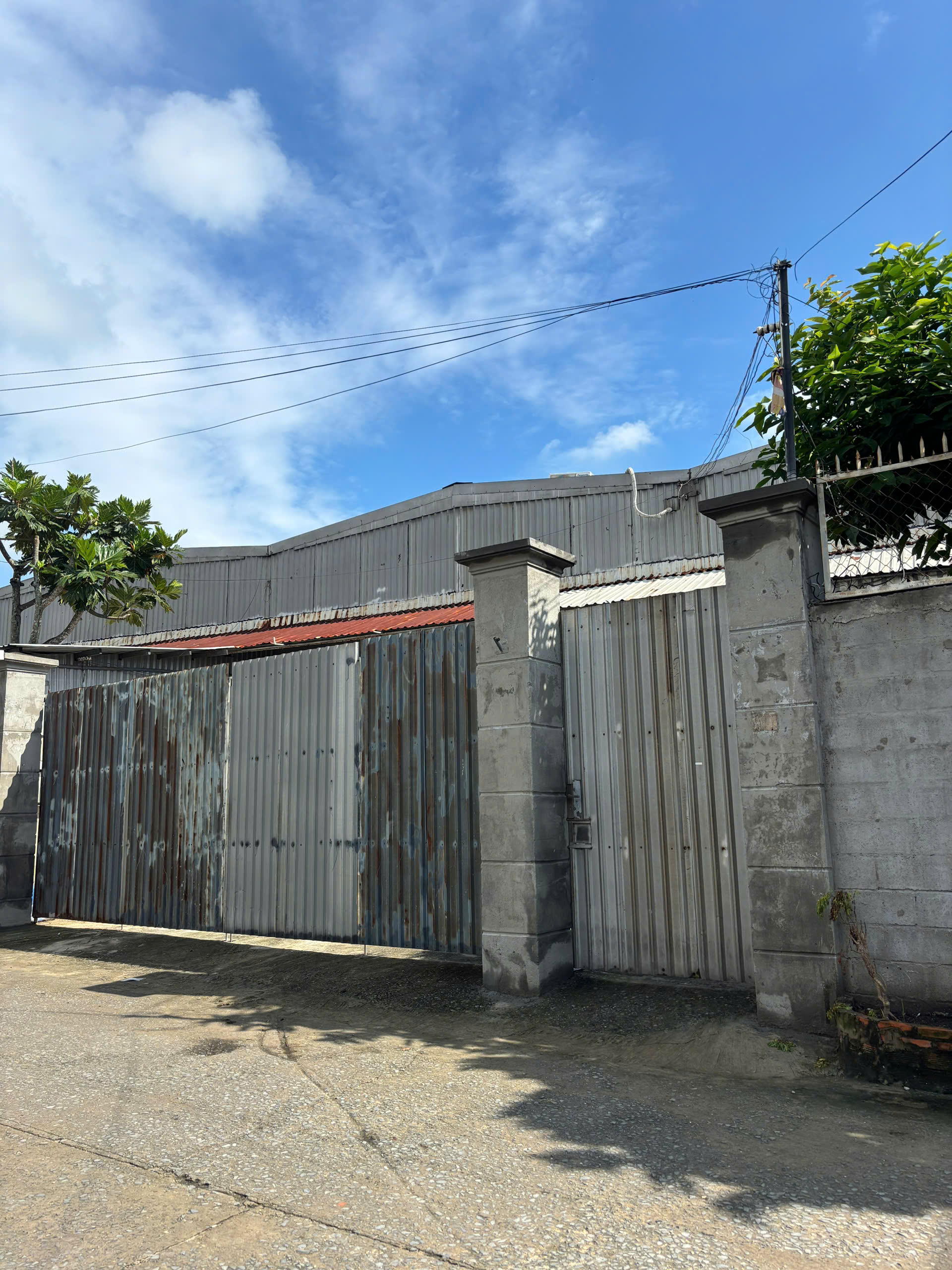 7173451193303_066e840c02495add15b9b0f552eb54a1