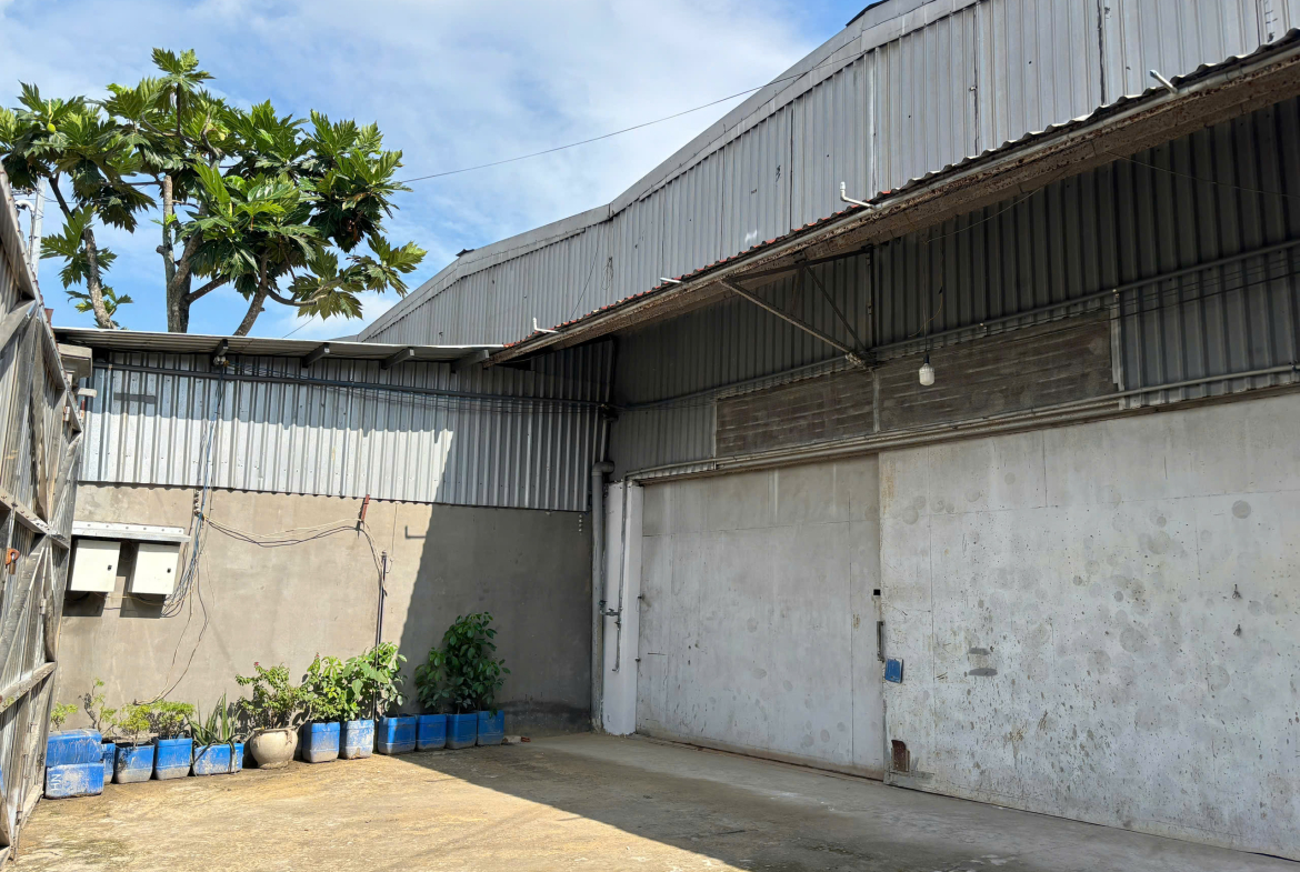 7173451193305_50992211ee08575a71cb63137cc00c1d