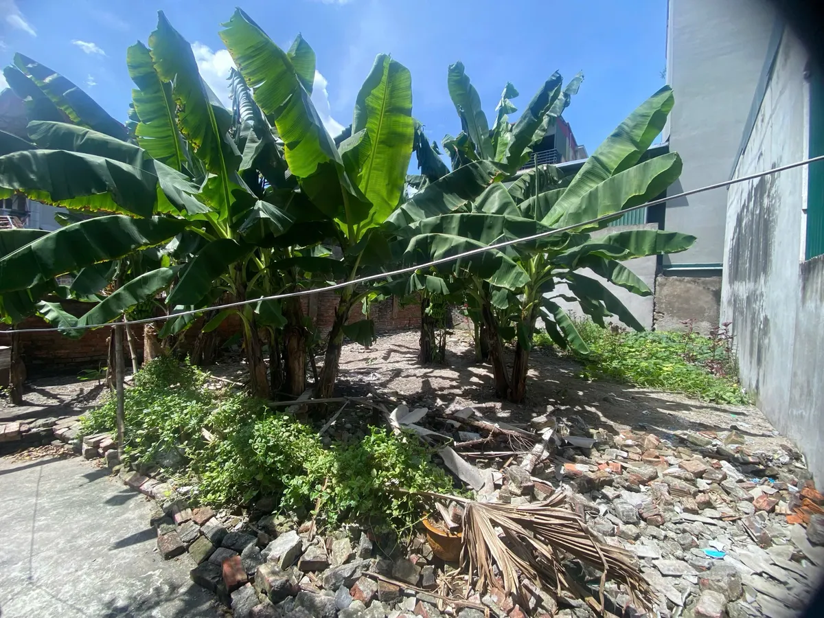 837a0bb9-817d-5ae2-8288-bf32175310cd