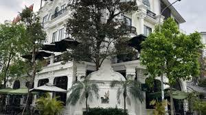 LO GOC BIET THU CAU GIAY