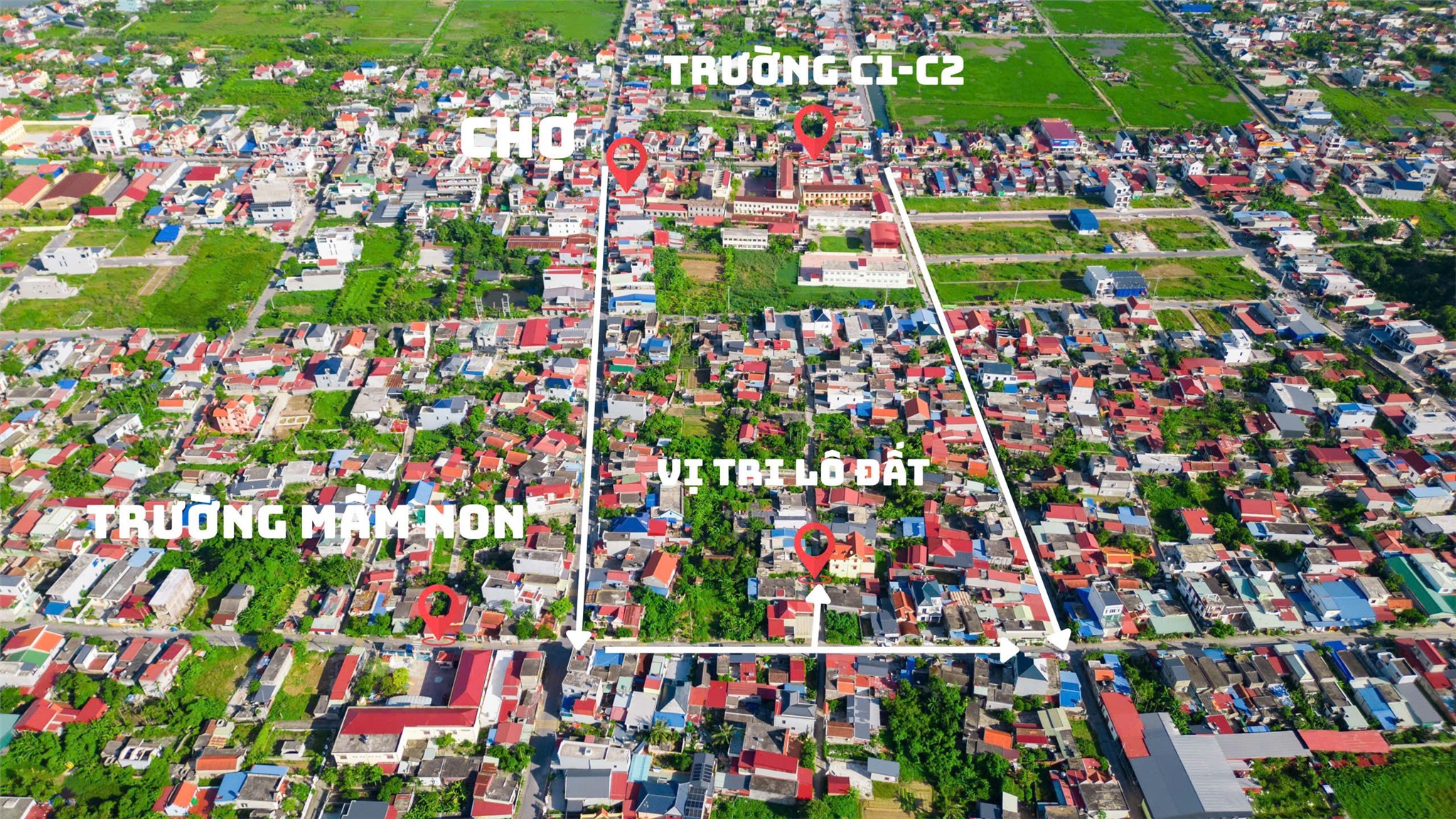 a73102b6fc22767c2f339