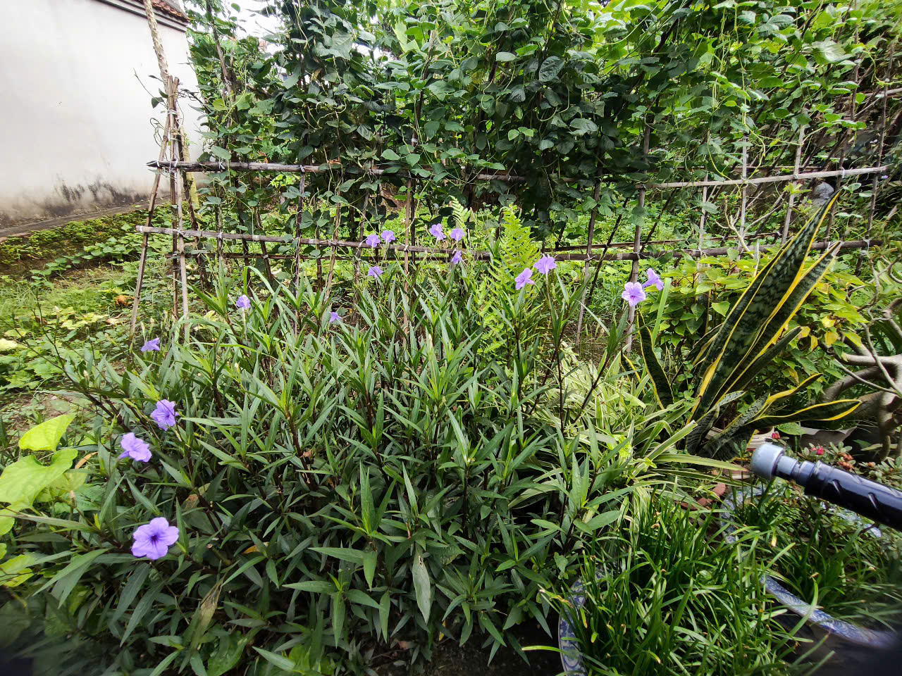 b.dat vinh trung 120mngay 14.7.25(1)