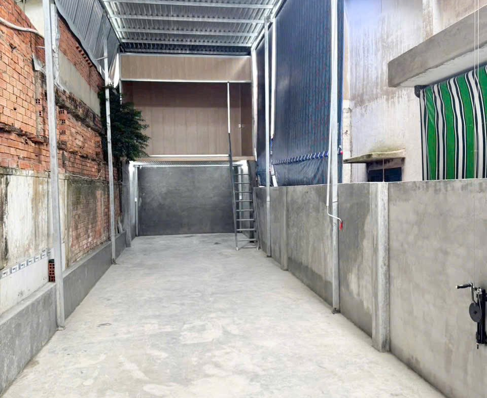 cho-thue-nha-vuon-lai-tan-phu (7)