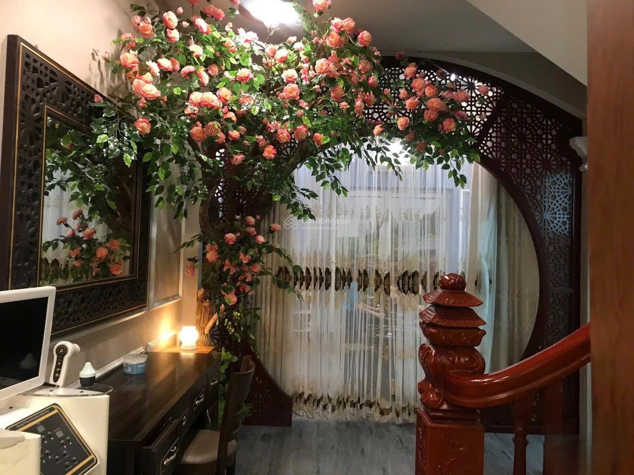 cho_thue_nha_phanlo_molao (1)