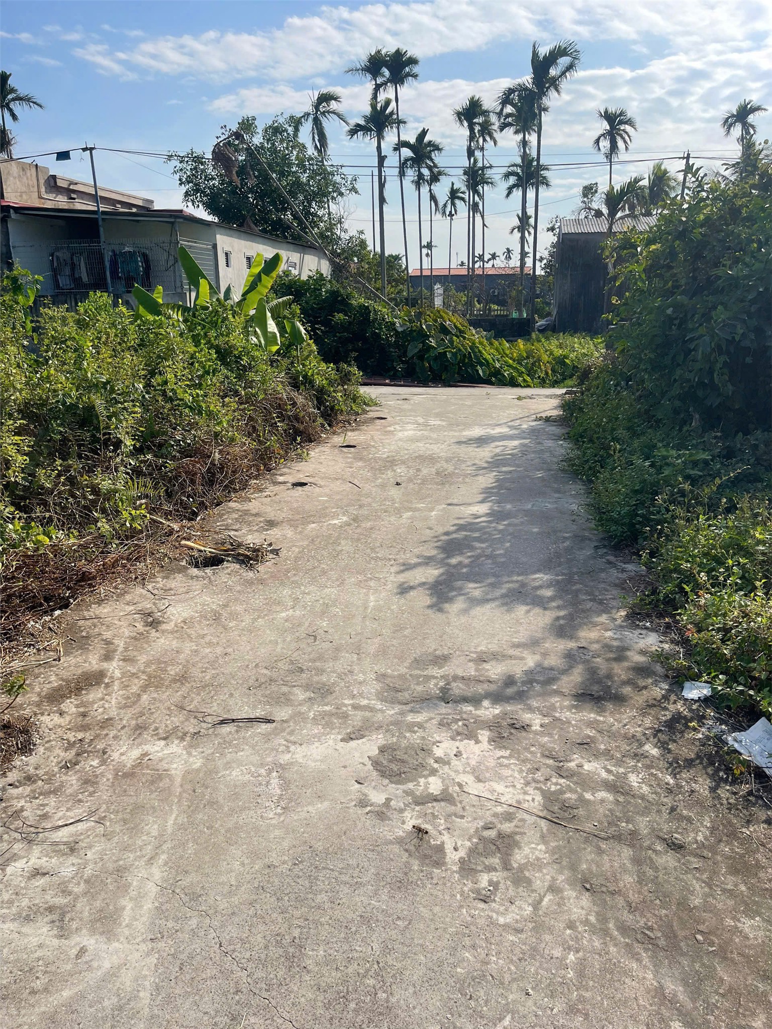 e3bafbbf5350de0e874154