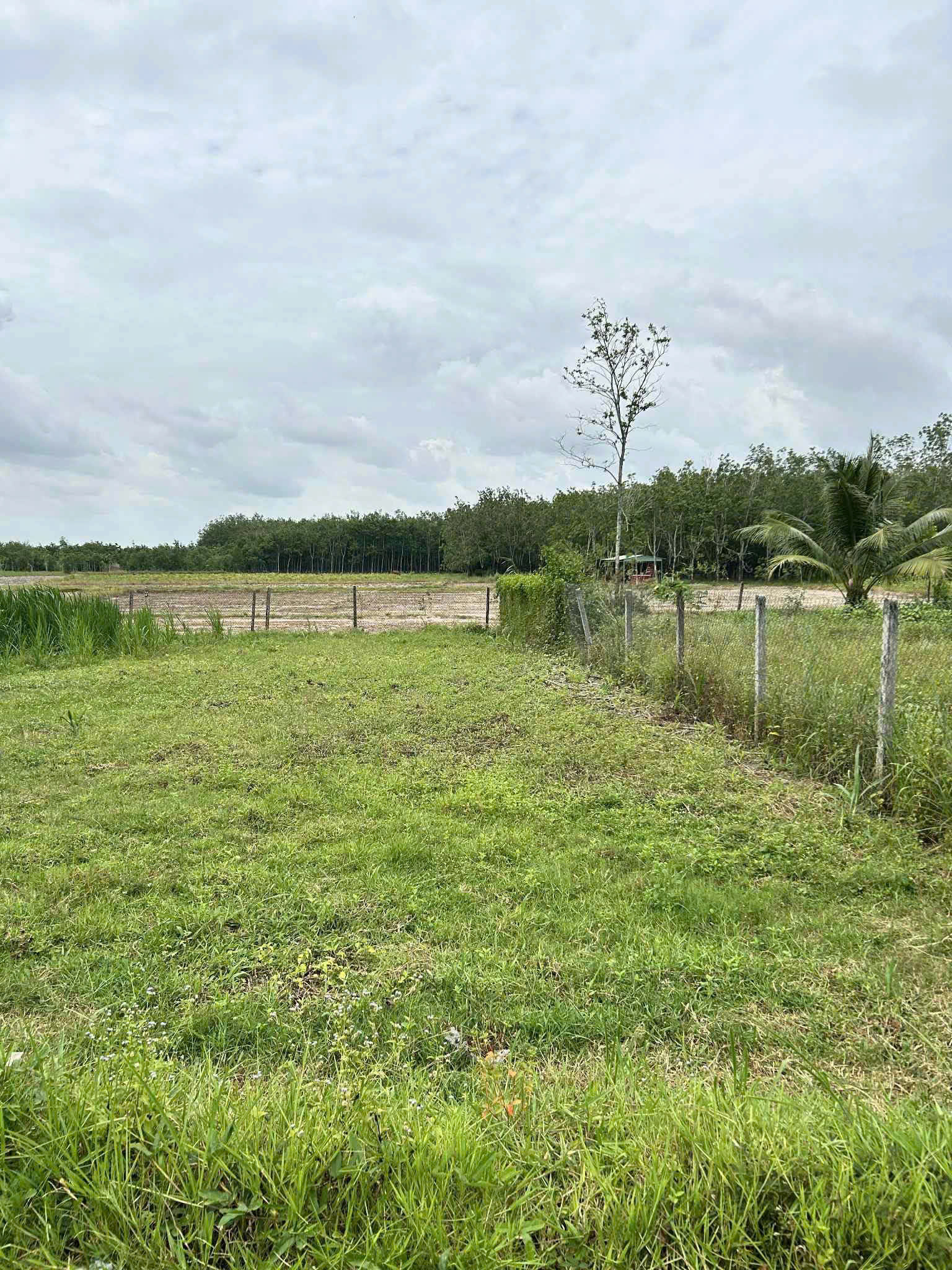 e5fb31504dadc7f39ebc