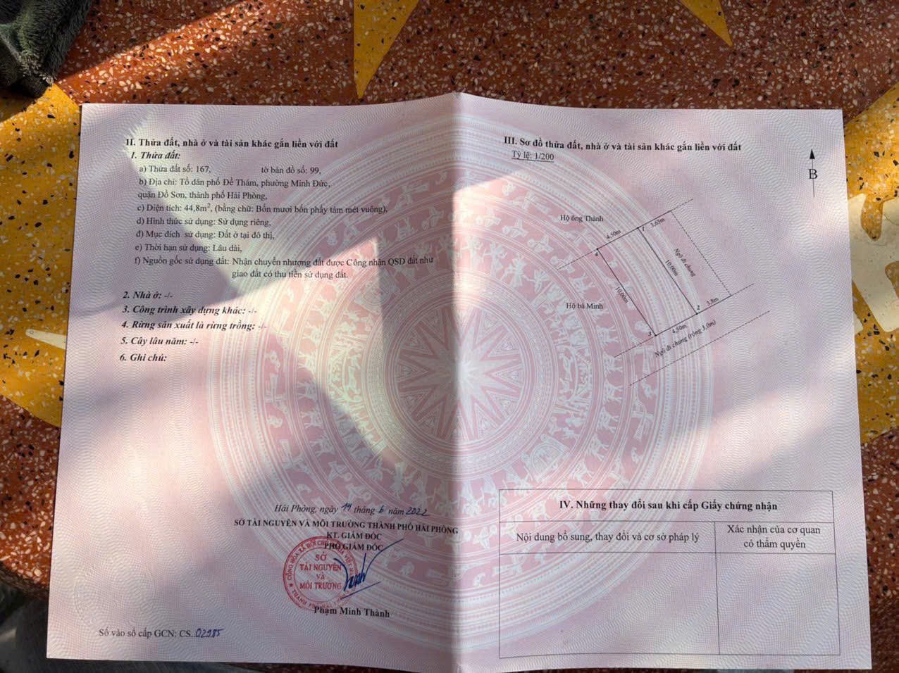 f95184e94c83c1dd989211