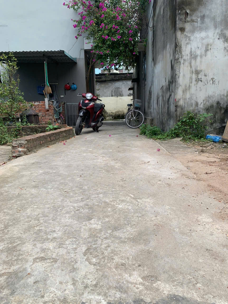 gen-h-z7092228971823_7ec13c8860cc9fa95c81f747e96a8593