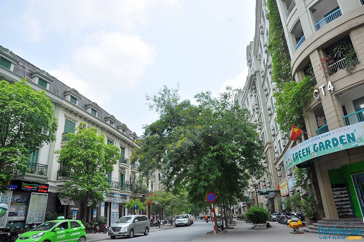 my dinh_he thong cay xanh