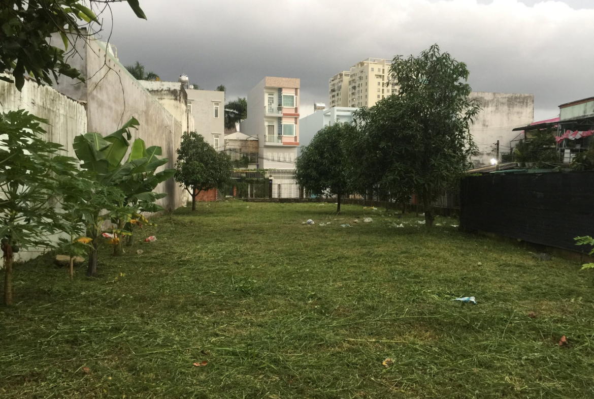 z5163211683795_198302478e81340ed81167fc0ae6c6b2