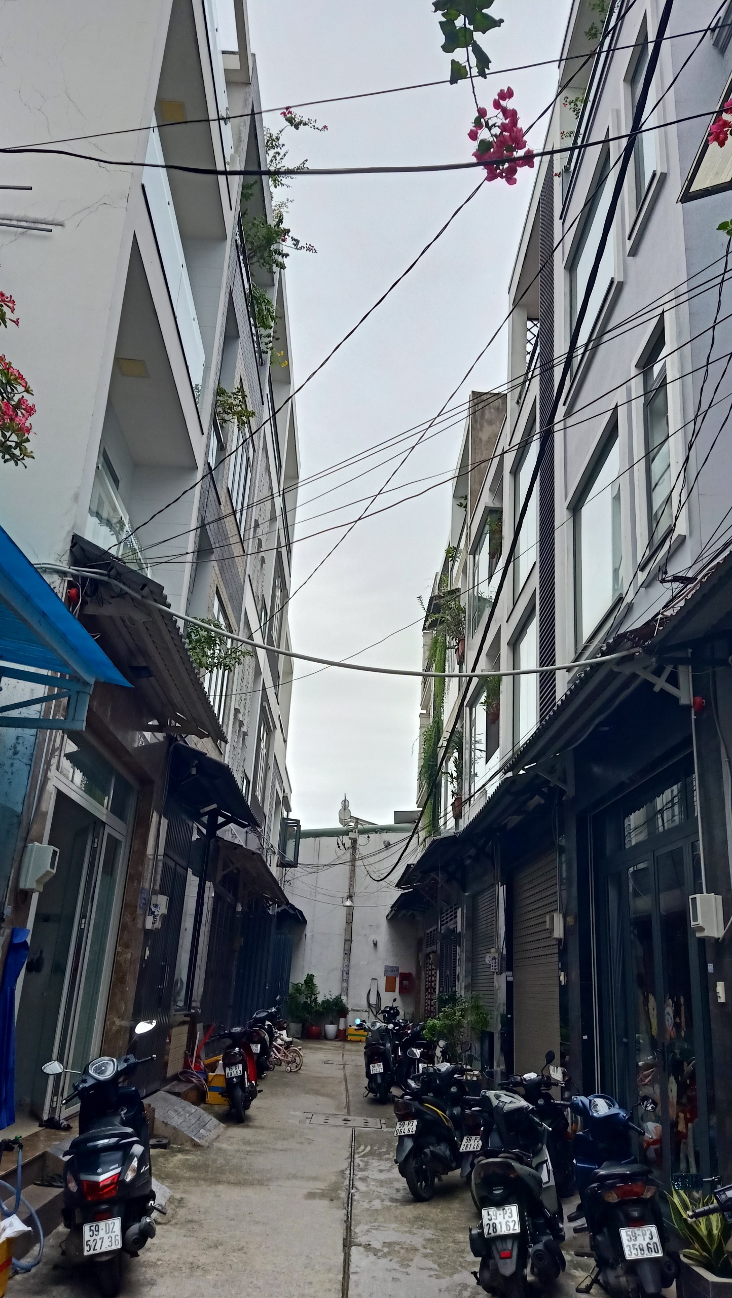 z5676141022731_9bd8fa2d21f8dee5fdf03f371c3036ae