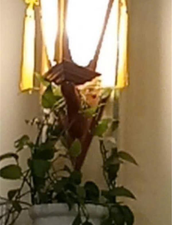 z5849032462634_01f25b8f059c78981f34707d357436cc